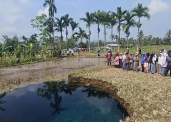 Fenomena Sinkhole di Situjuah: Guru Besar UNAND Ungkap Penyebab dan Risiko Geologisnya