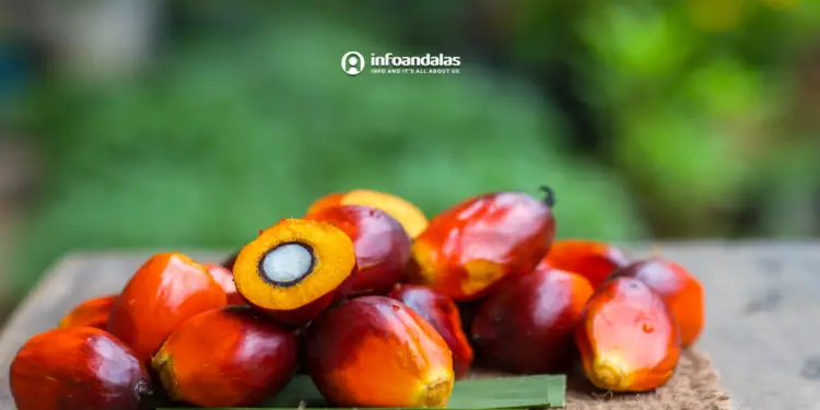 Panduan Terbaik Memilih Sekolah di Sumatra: Tips untuk Orang Tua