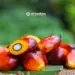 Panduan Terbaik Memilih Sekolah di Sumatra: Tips untuk Orang Tua